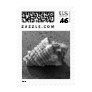 Conch Sea Shell Beach Photo Postage Stamp