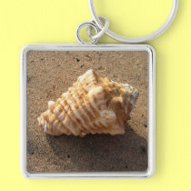 Conch Sea Shell Sand Beach Keychain keychains