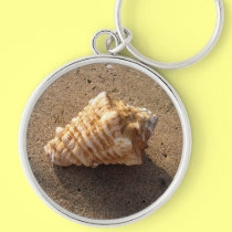 Conch Sea Shell Sand Beach Keychain keychains
