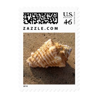 Conch Sea Shell Sand Beach Photo Postage Stamps