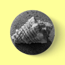 Conch Seashell Sand Beach Button Pendant buttons