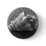 Conch Seashell Sand Beach Button Pendant