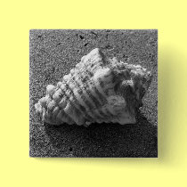 Conch Seashell Sand Beach Button Pin buttons