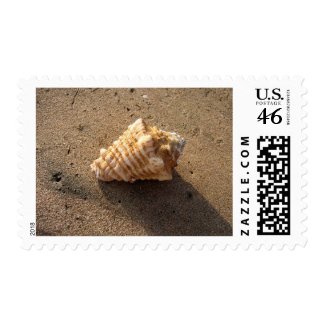 Conch seashell Sand Beach Photo Postage Stamps