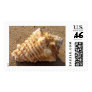 Conch Seashell Sand Beach Photo Postage Stamps