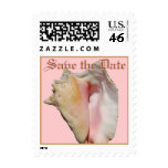 Conch Seashells Save the Date stamps
