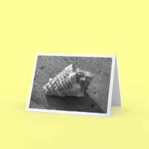 Conch Shell (Black and White) Card cards