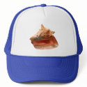 Conch Shell hats by roimim Conch Shell hats