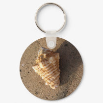 Conch Shell Keychain (Color) by donnabellas Conch Shell Keychain (Color)