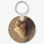 Conch Shell Keychain (Color)