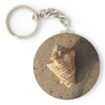 Conch Shell Keychain (Color)