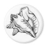 Conch Shell magnet