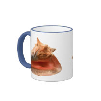 Conch Shell mugs by roimim Conch Shell mugs