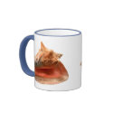 Conch Shell mugs