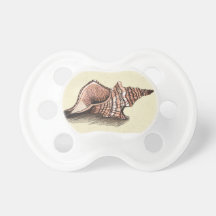Conch Shell Pacifier