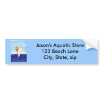 Conch Shell painting, bumper stickers bumper stickers by Cherylsart Conch Shell painting, bumper stickers bumper stickers
