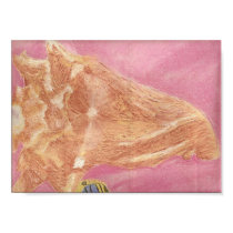 Conch Shell posters by loewdesigns Conch Shell posters