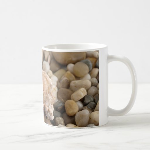 Concha y guijarros taza de café
