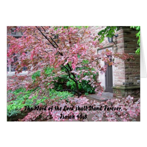 Concordia Seminary- The Word of the Lord card