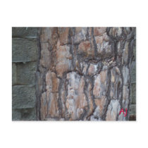 concrete and wood bark postcards by dogandcatshrink concrete and wood bark postcards