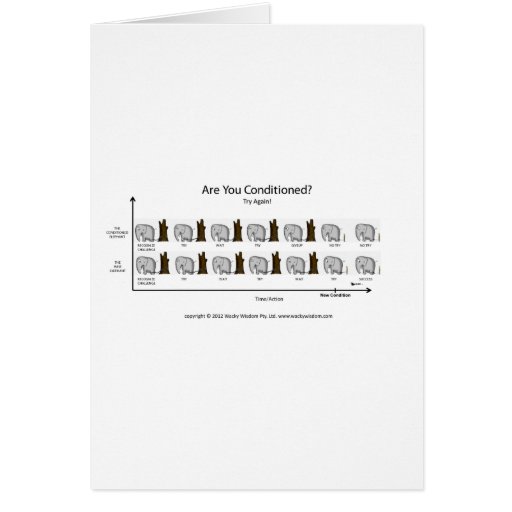 Conditioned Elephant Greeting Cards