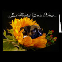 Condolences Boxer puppy greeting card cards