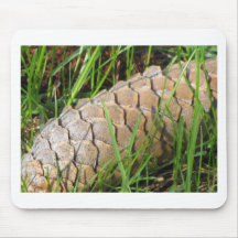 Cone at Rest Mouse Pads