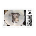 Cone Dog! postage