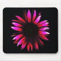 Cone-Flower-a-GoGo Mousepad