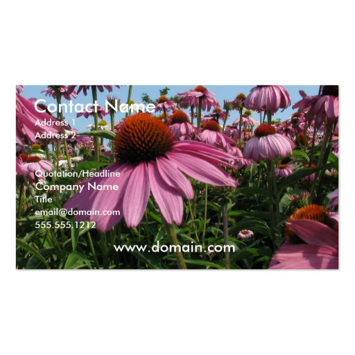 Cone Flower Business Card (front side)