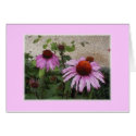 "Cone Flower" cards by Eye4birds "Cone Flower" cards