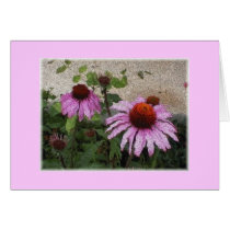 "Cone Flower" cards