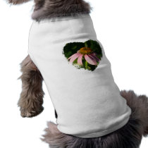 Cone flower  heart pet clothing
