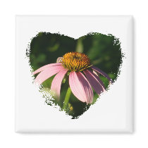 Cone flower  heart magnets