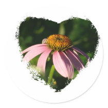 Cone flower  heart stickers