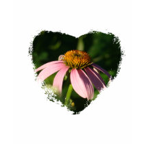Cone flower  heart t-shirts