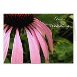 Cone Flower Invitation Greeting Cards