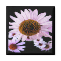 Cone Flower Magnet