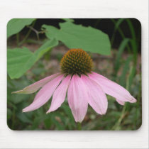 Cone Flower mousepads