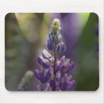 Cone Flower mousepads