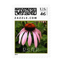 Cone Flower postage by ArtByLindaLou Cone Flower postage