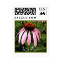 Cone Flower postage