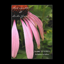 Cone Flower- Save the Date postcards