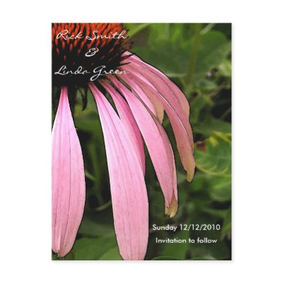 Cone Flower- Save the Date Postcard by ArtByLindaLou
