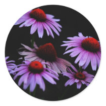 Cone flower stickers