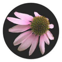 cone flower sticker