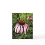 Cone Flower Thank You Card