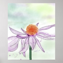 Cone Flower Watercolor Poster