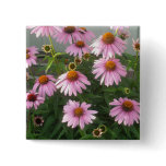 Cone Flowers Pinback Button