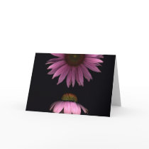 Cone Flowers Greeting Card